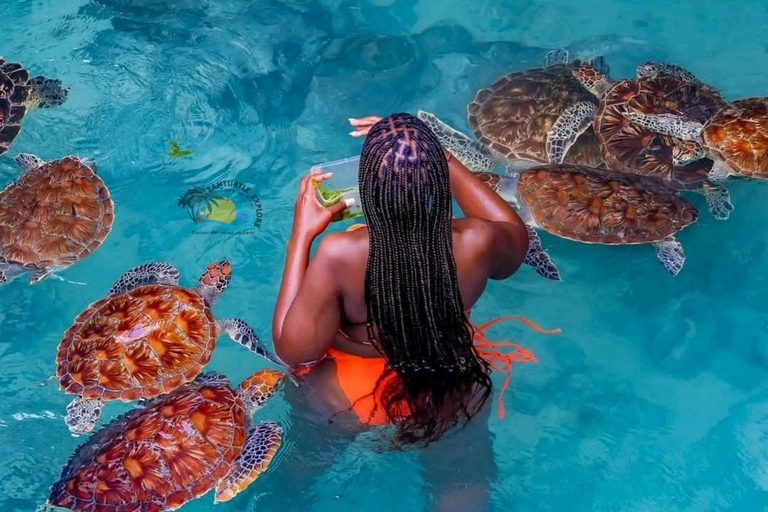 Błękitna Laguna, rozgwiazdy, żółwie, las Jozani i SkałaTransport hotelowy w regionie południowym