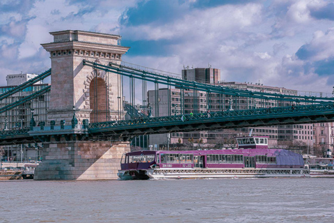 Budapest: Crucero turístico nocturno o diurnoCrucero turístico desde el lado Buda del río