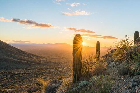 Arizona: Great Western Trail Jeep Tour Adventure Sunset Great Western Trail Jeep Tour