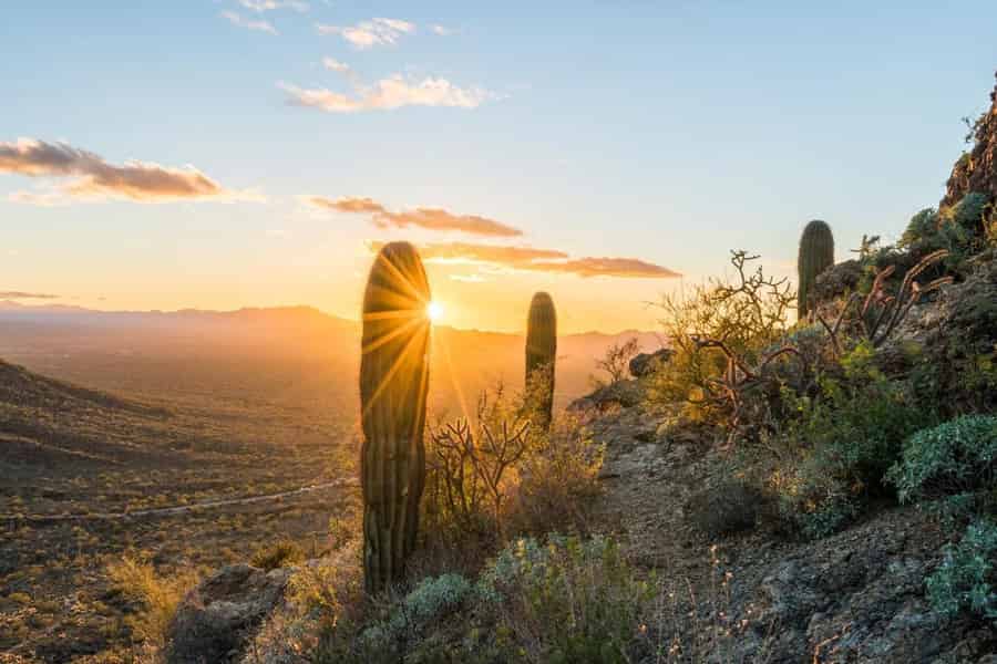 Arizona: Abenteuerliche Jeep-Tour auf dem Great Western Trail. Foto: GetYourGuide Arizona: Abenteuerliche Jeep-Tour auf dem Great Western Trail. Foto: GetYourGuide