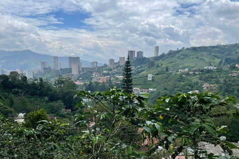 MEDELLÍN: HALVDAGSUTFLYKT TILL KAFFE PÅ LOKAL FAMILJEJORDBRUK