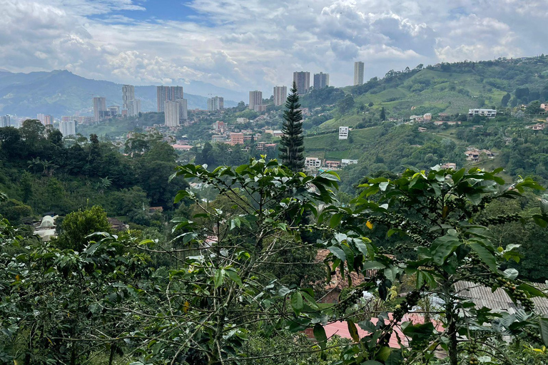 MEDELLÍN: HALVDAGSUTFLYKT TILL KAFFE PÅ LOKAL FAMILJEJORDBRUK