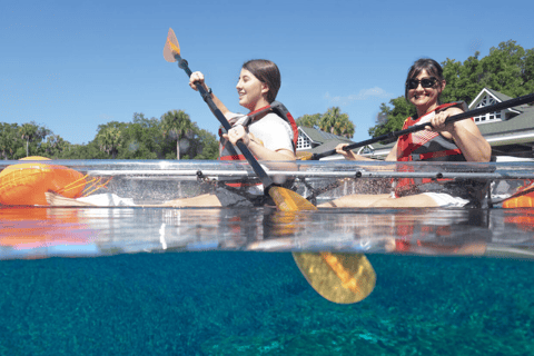 Silver Springs: Clear Kayak Rental with Wildlife Viewing Single Clear Kayak