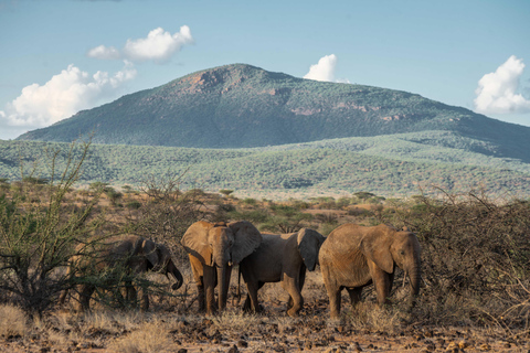 9-Day Kenya Safari with Accommodation & Meals