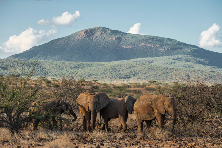 9-Day Kenya Safari with Accommodation & Meals