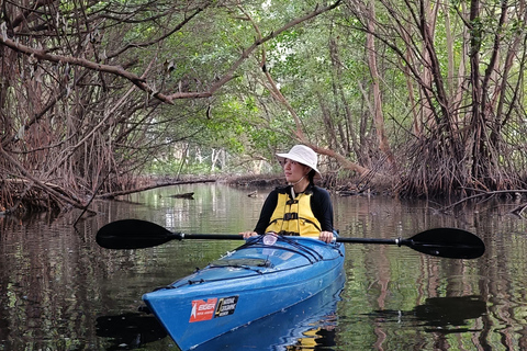 Experiência de canoagem nos mangais de Jacarta