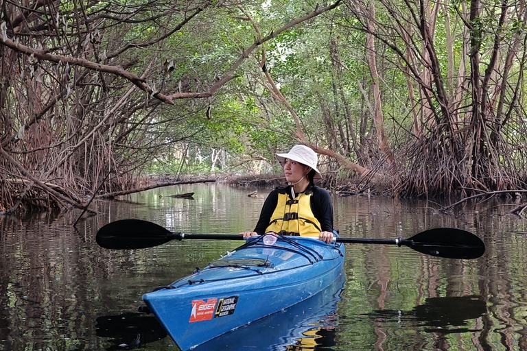 Canoë-kayak dans la mangrove à Jakarta