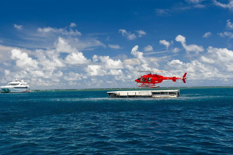 Cairns: Great Barrier Reef Cruise with Gold Class Lounge