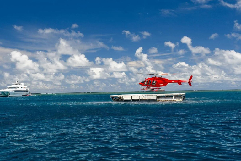 Cairns: Great Barrier Reef Cruise with Gold Class Lounge
