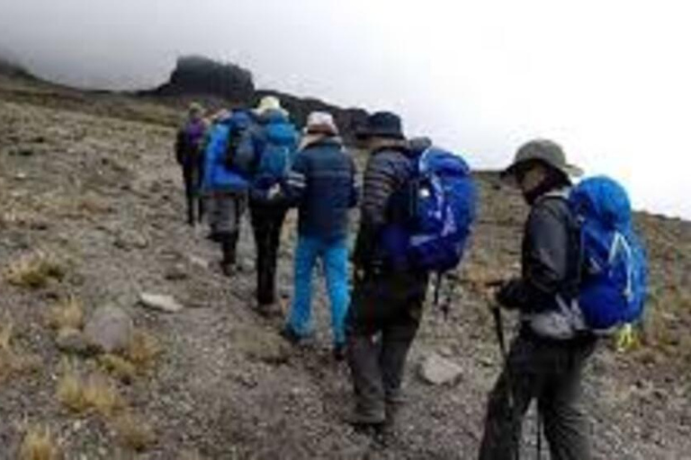 8 Daagse Kilimanjaro Klimroute via de Lemosho Route
