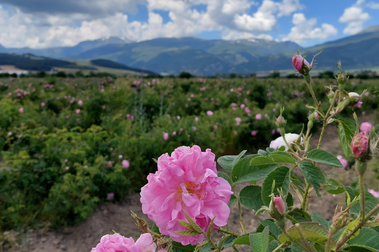 From Sofia: Buzludzha and Shipka Private Day Trip