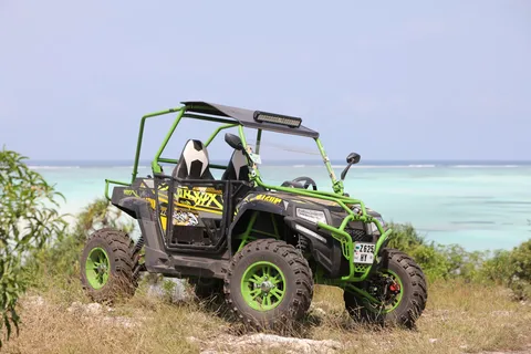 Tandem Buggy Adventure with Lunch at Zanzibar Spice Farm