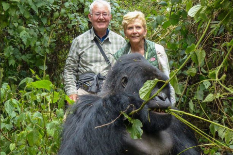 Kigali: 2-Day Gorilla Trekking, City Tour & Cultural Visit