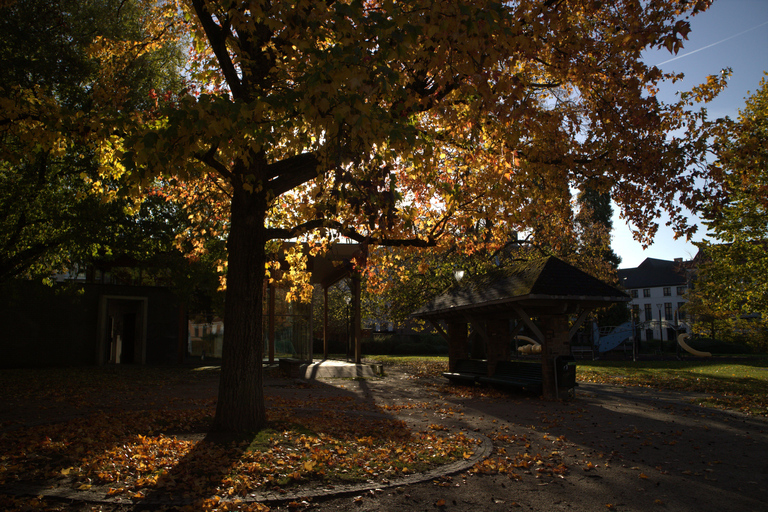 Leuven Bike Tours: Highlights & Beyond + café + bike rental The Leuven Highlights & Beyond (public tour)