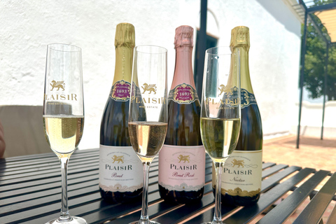 Kaapstad: reis door het wijnparadijs van Zuid-AfrikaKaapstad: Reis door het wijnparadijs van Zuid-Afrika