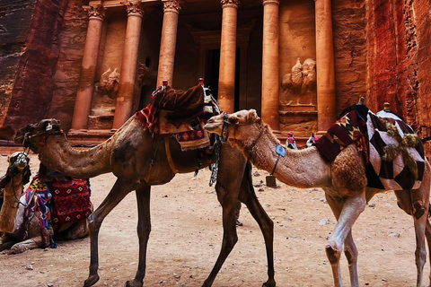 Petra & Wadi Rum: 2 Days Tour from Amman