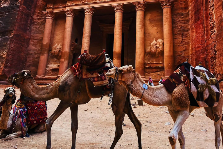 Petra & Wadi Rum: 2 Days Tour from Amman