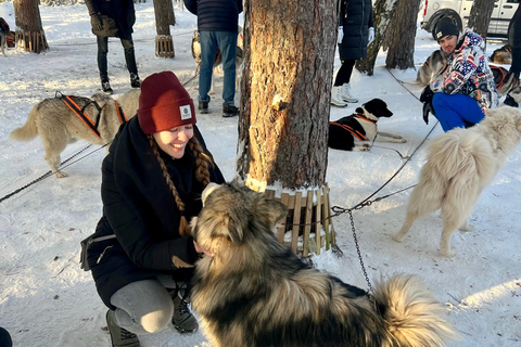 Husky sleeën &amp; Uitzicht op het bos: Onvergetelijk avontuur in Riga