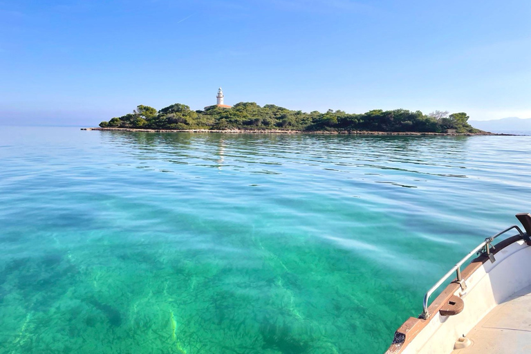Alcudia: Private boat tour to the lighthouse island