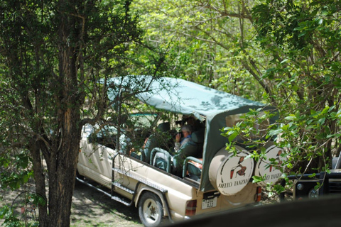 Selous : Un safari hors route d&#039;une journée au départ de Zanzibar