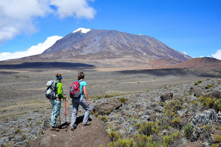 7 jours d&#039;ascension du Kilimandjaro par la route Machame