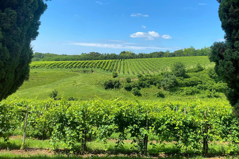 Prosecco Hills Private Tour All inclusive. 2 wineries+lunch