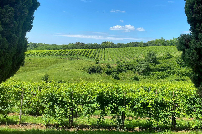Prosecco Hills Private Tour All inclusive. 2 wineries+lunch