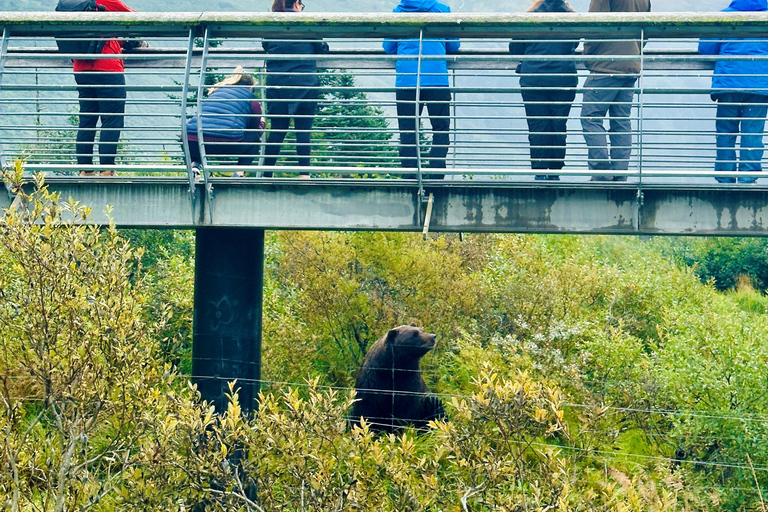 Centre de conservation de la faune de l'Alaska : billet d'entrée
