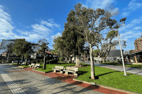 Puerto Varas: Half-Day City Tour, Puerto Montt Included