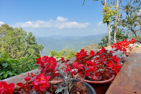 Chiang Rai: Mountains Discovery Doi Mae Salong & Doi Tung Mountains Discovery:Doi Mae Salong & Doi Tung (Private Tour)