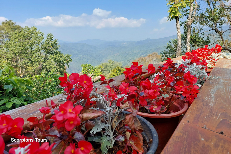 Chiang Rai: Mountains Discovery Doi Mae Salong & Doi Tung Mountains Discovery:Doi Mae Salong & Doi Tung (Private Tour)