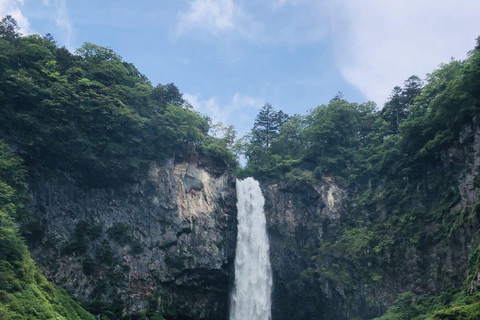 Nikko Private Day Tour From Tokyo Toshogu Shrine Kegon Fall In Luxury Mini Van Nikko Day Trip