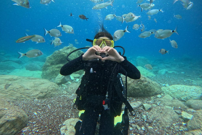 Marmaris: Beginner-Friendly Scuba Diving Tour Marmaris: Scuba Diving Without Hotel Transfer