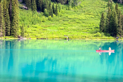 Tour di un giorno a Banff Lake Louise Yoho in piccoli gruppi 6 max/gruppo