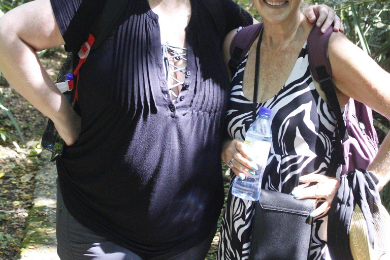 Wycieczka półdniowa do wioski Nalesutale z wędrówką po lesie deszczowymOdbiór z hoteli Fiji Marriott/Lautoka/Lautoka Wharf