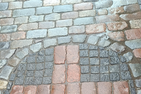 Old Tallinn & Medieval Past Private Tour