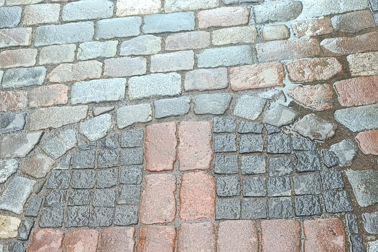 Old Tallinn & Medieval Past Private Tour