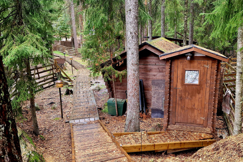 Helsinki: Buggy Ride, Reindeer Farm Visit, and Picnic