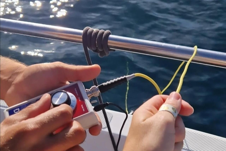 New: Into the Wild - 3H w/Marine Biologists - dolphins &more