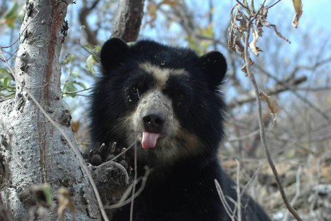 Escapada a la Reserva Ecológica de Chaparrí