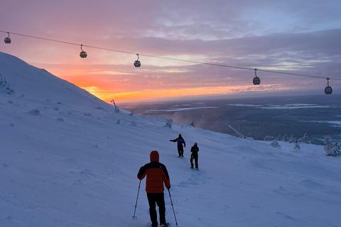 Levi: Snöskovandring: Tomtens stuga och picknick i natursköna omgivningar