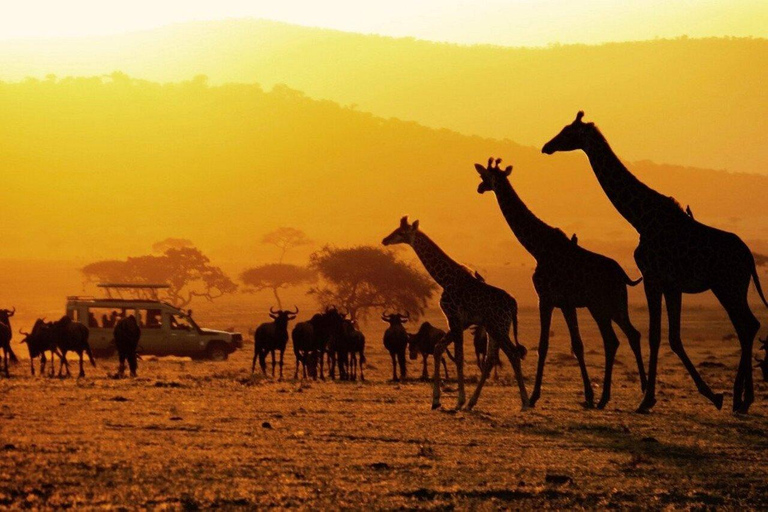 4-Days Safari Experience in Tanzania