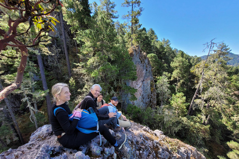Oaxaca: Sierra Norte Hike & Indigenous Village