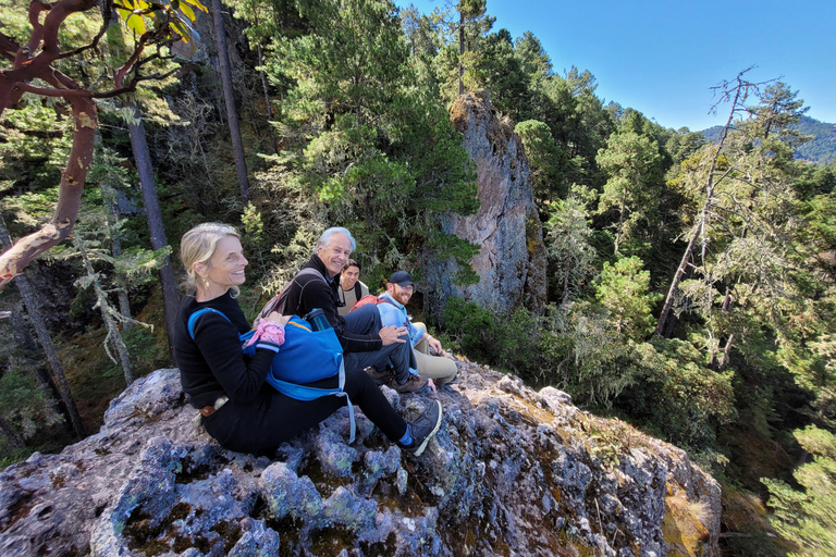 Oaxaca: Sierra Norte Hike & Indigenous Village