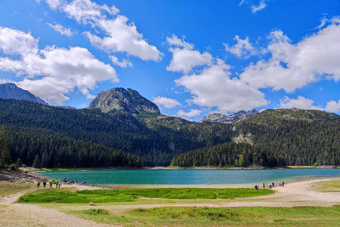 Montenegro: Durmitor, Black Lake, Tara, and Moraca Day Trip Group Tour from Tivat