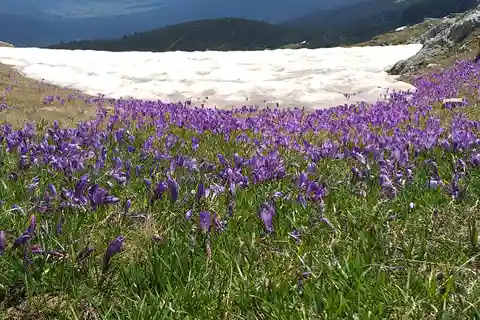 Wędrówka i SPA nad siedmioma jeziorami Riła