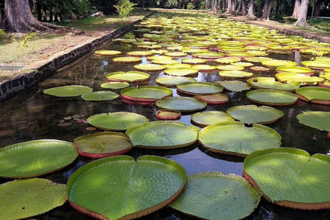 Mauritius Northern Tour