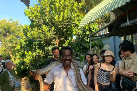 Cu Chi Tunnels and Mekong Delta Tour