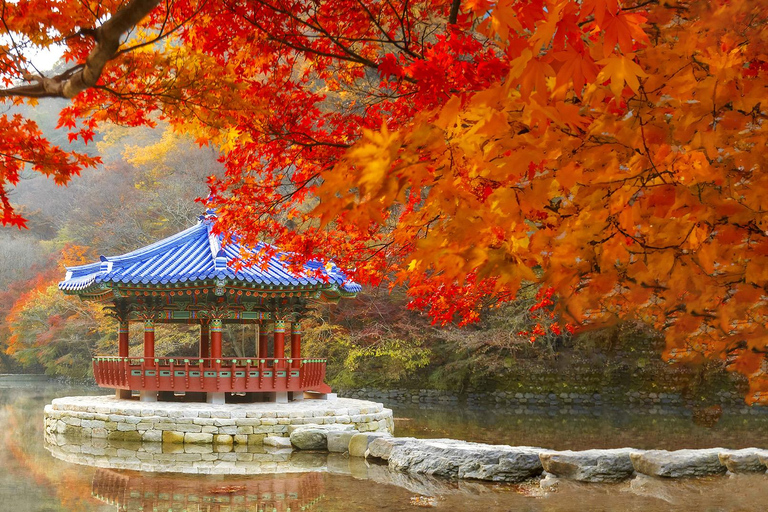 Seoul: Naejangsan National Park Autumn Foliage One Day Tour Shared Tour, Meet at Dongdaemun
