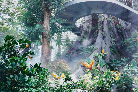 Shanghai Greenhouse Garden Entry Ticket Adult Ticket (Entry time 15:00~17:00)